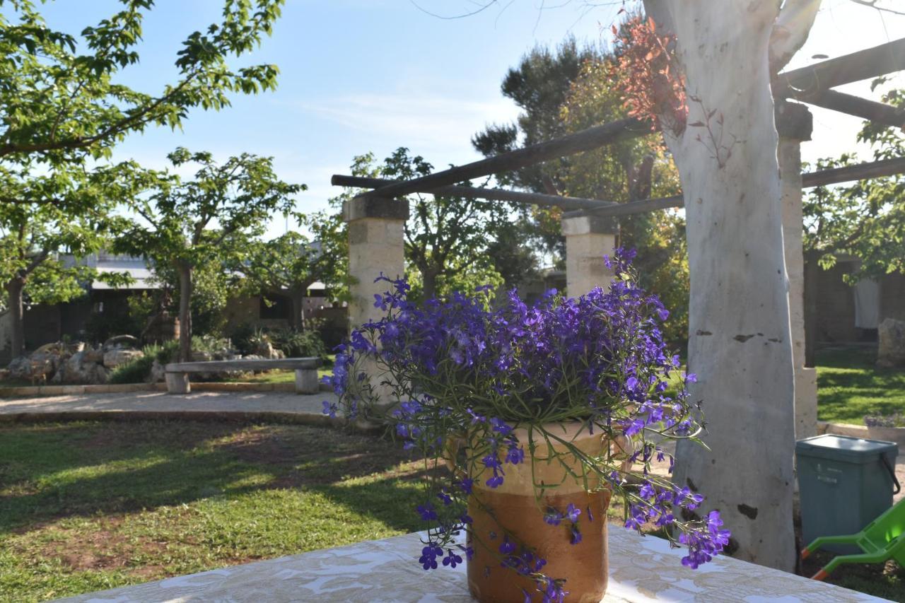 Tenuta Nonno Carmine Porto Cesareo Exteriör bild